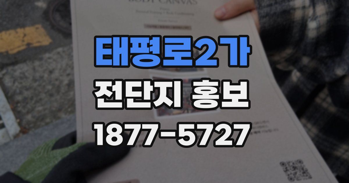 태평로2가 전단지 홍보
