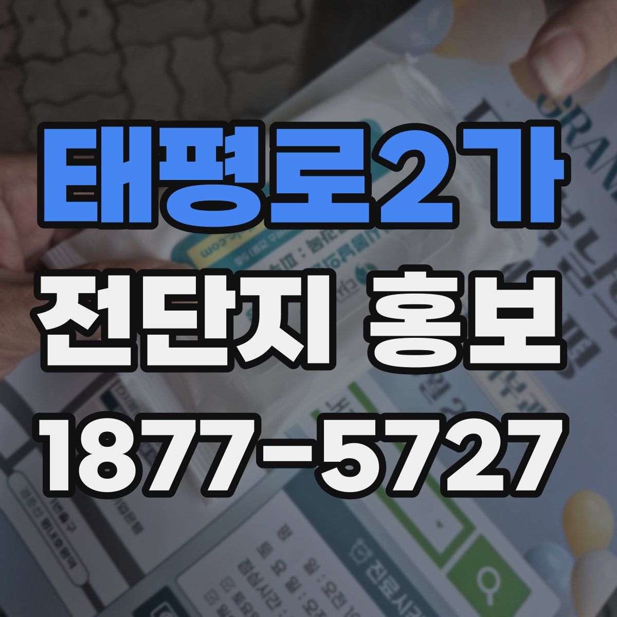 태평로2가 전단지 홍보