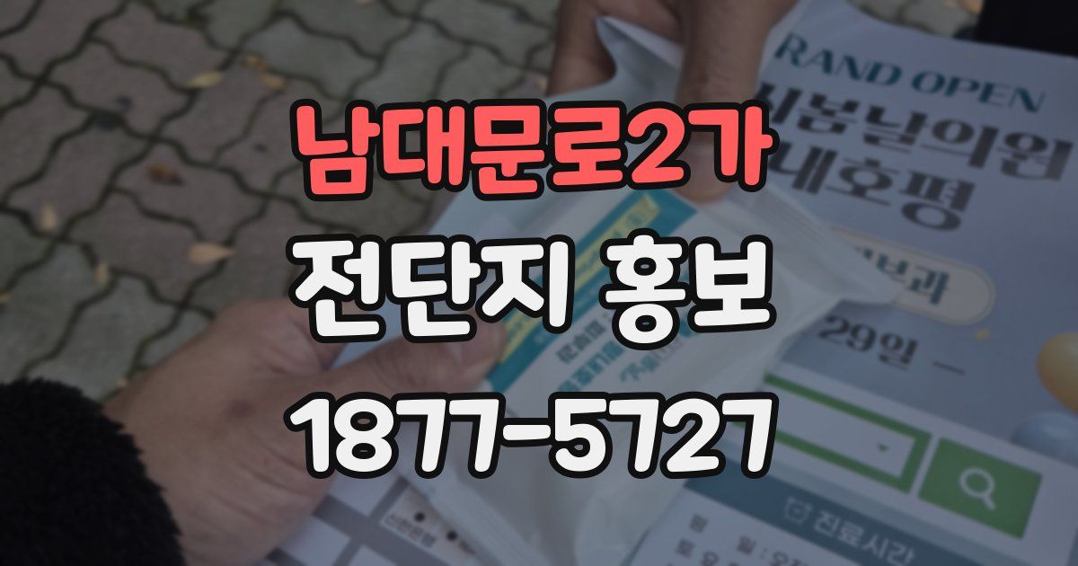남대문로2가 전단지 홍보