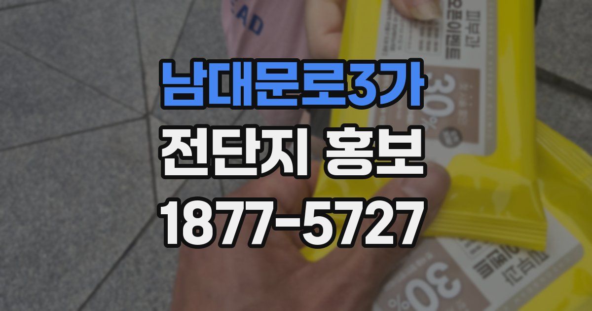 남대문로3가 전단지 홍보