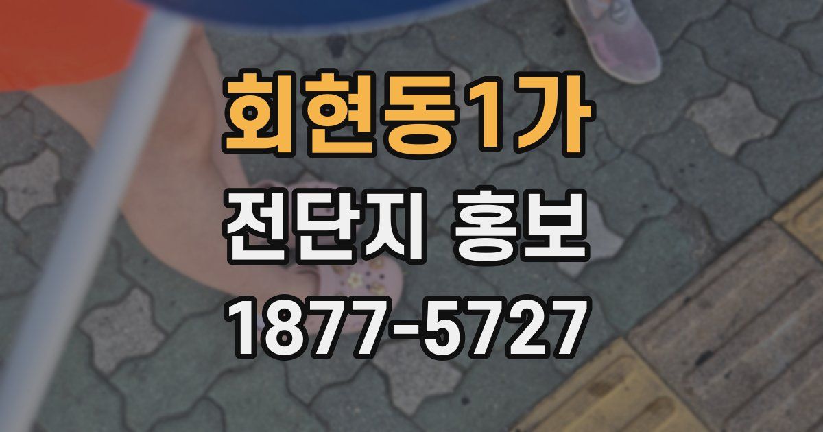 회현동1가 전단지 홍보