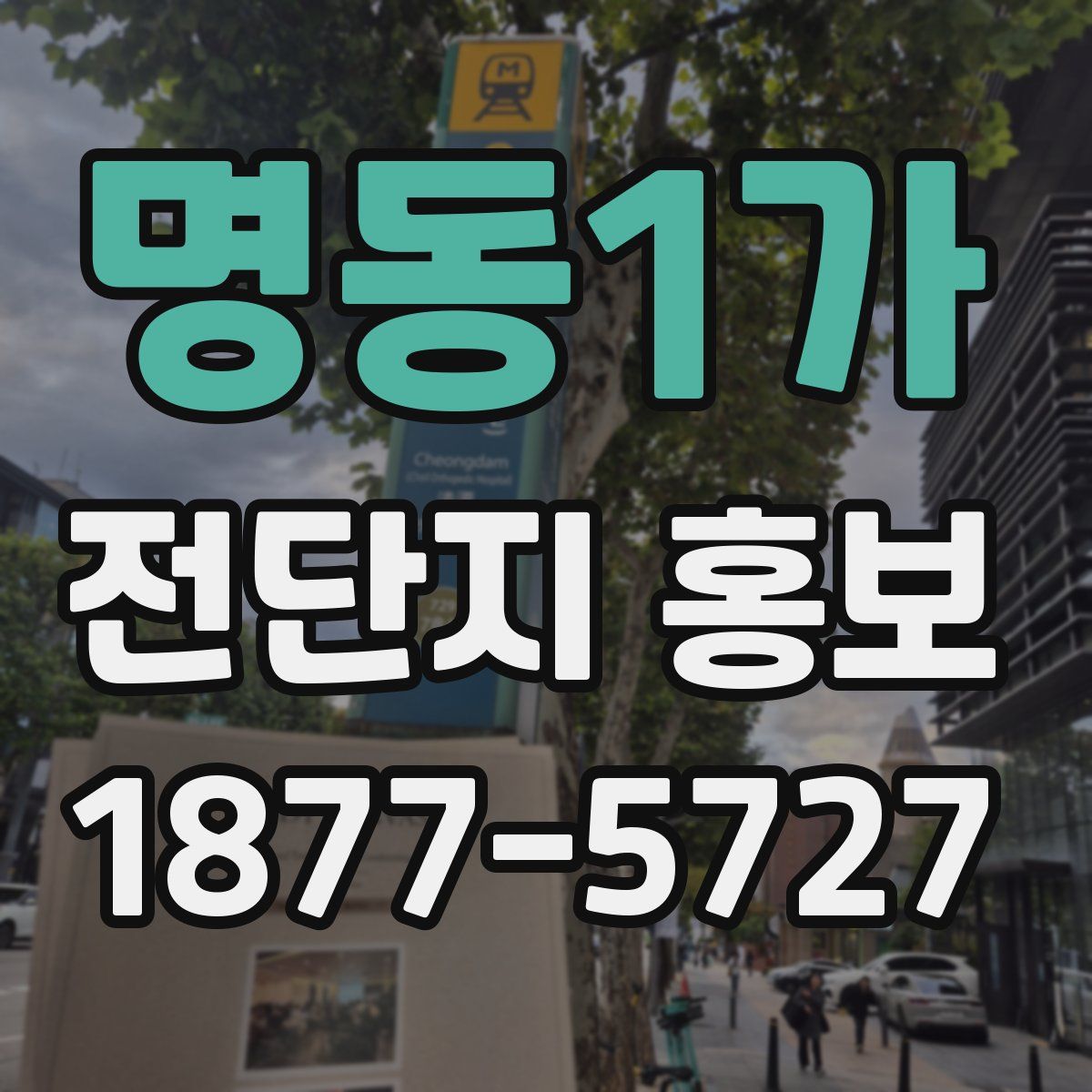 명동1가 전단지 홍보