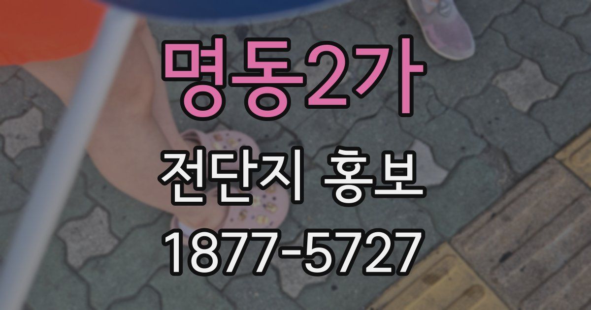 명동2가 전단지 홍보