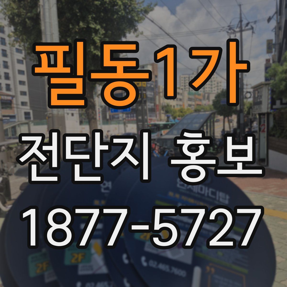 필동1가 전단지 홍보