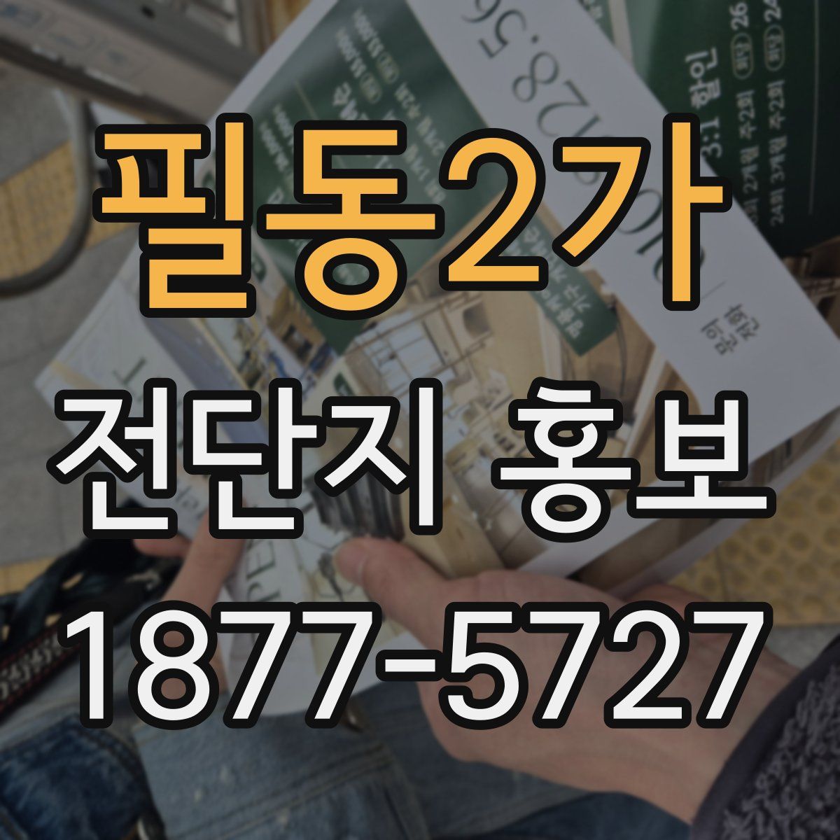 필동2가 전단지 홍보