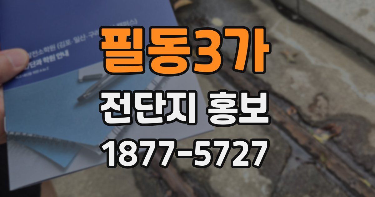 필동3가 전단지 홍보