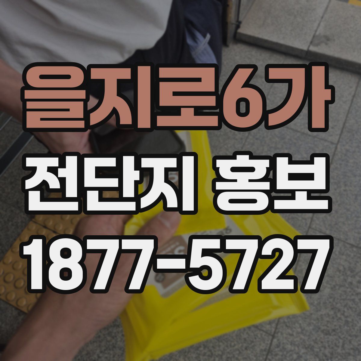 을지로6가 전단지 홍보