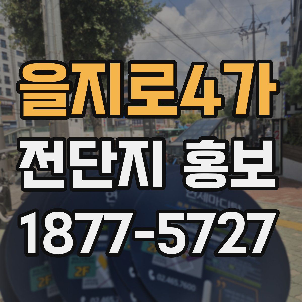 을지로4가 전단지 홍보