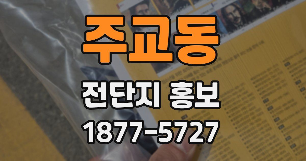 주교동 전단지 홍보