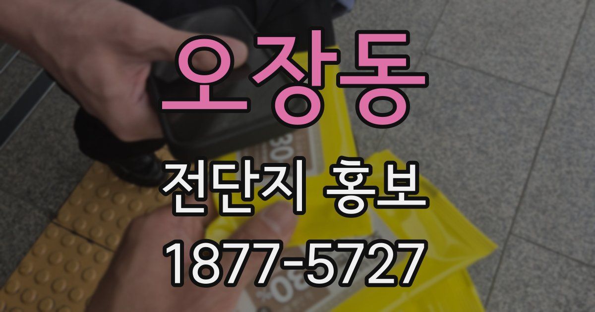 오장동 전단지 홍보