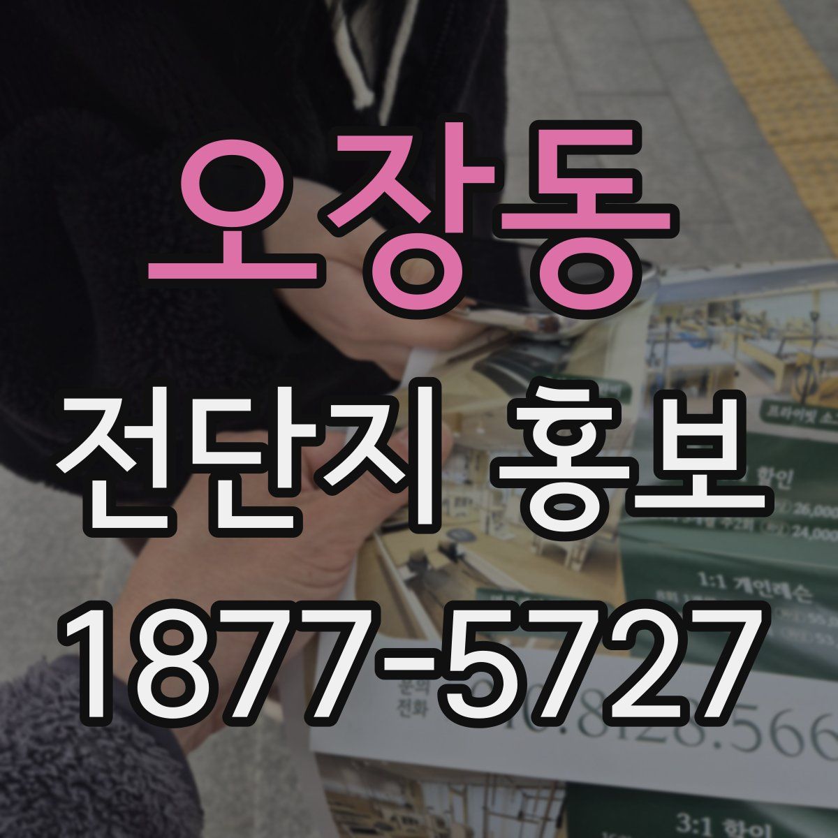 오장동 전단지 홍보