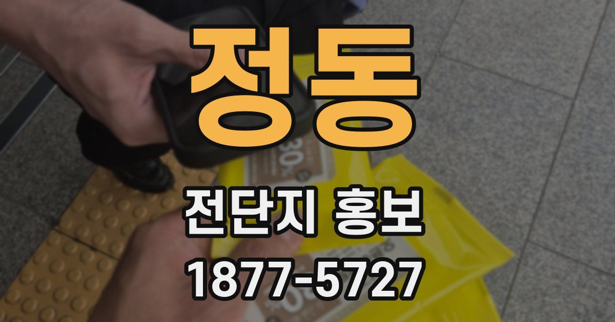 정동 전단지 홍보