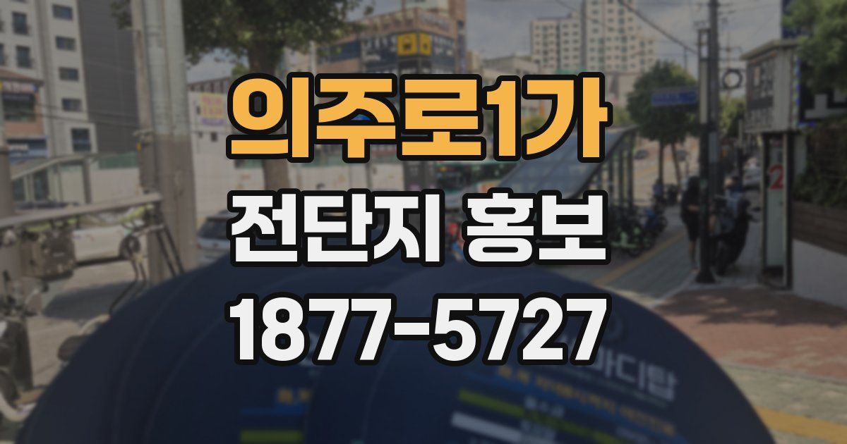 의주로1가 전단지 홍보