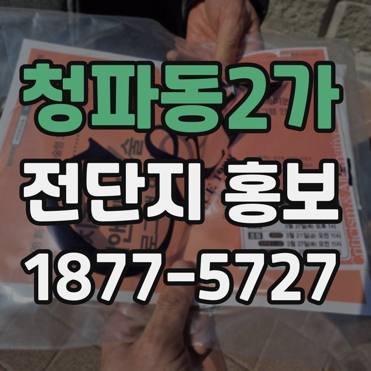 청파동2가 전단지 홍보
