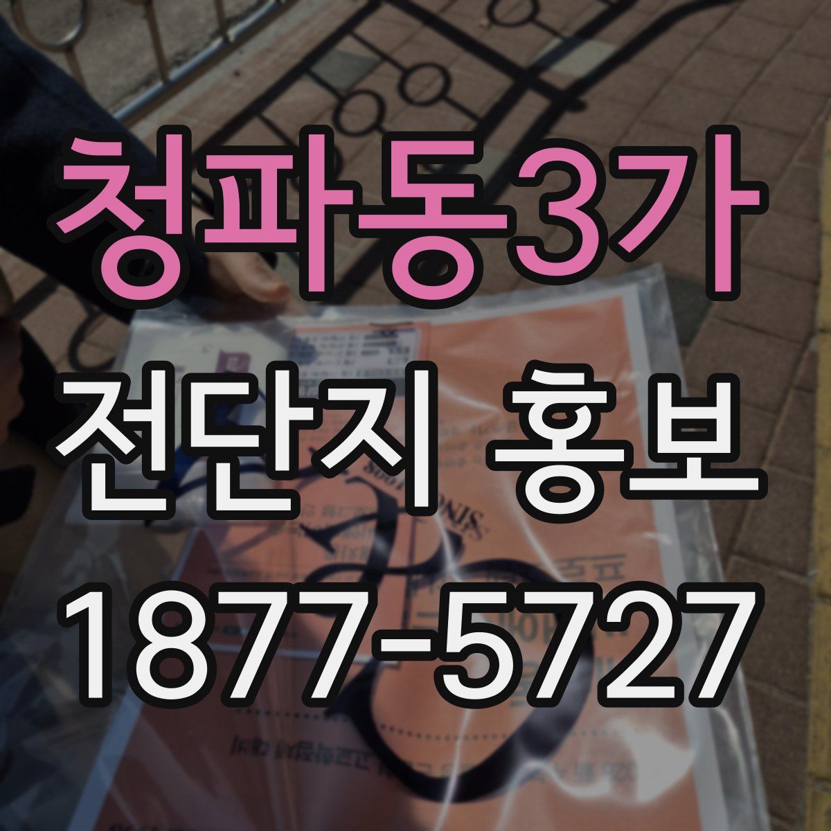 청파동3가 전단지 홍보