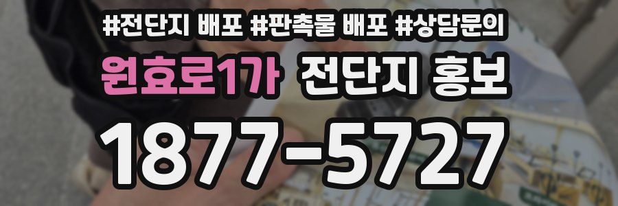 원효로1가 전단지 홍보