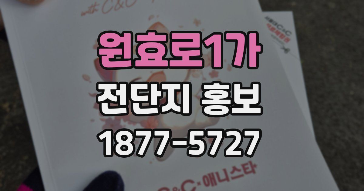 원효로1가 전단지 홍보