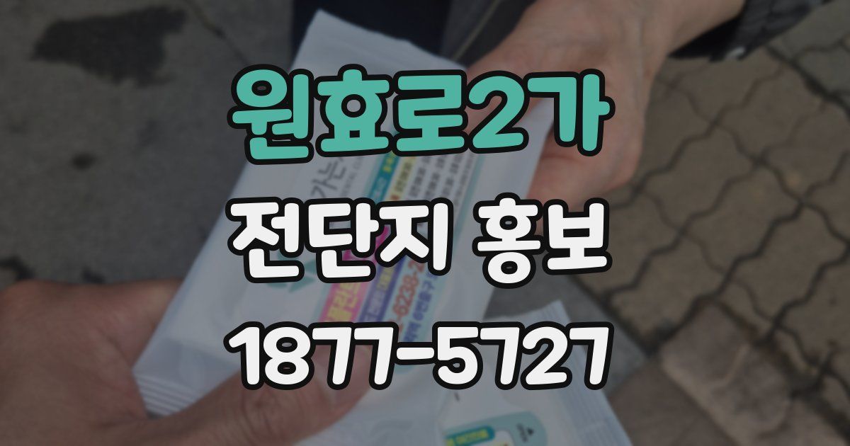 원효로2가 전단지 홍보