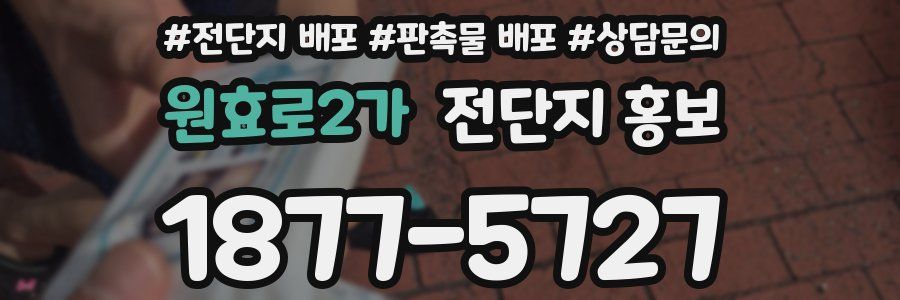 원효로2가 전단지 홍보