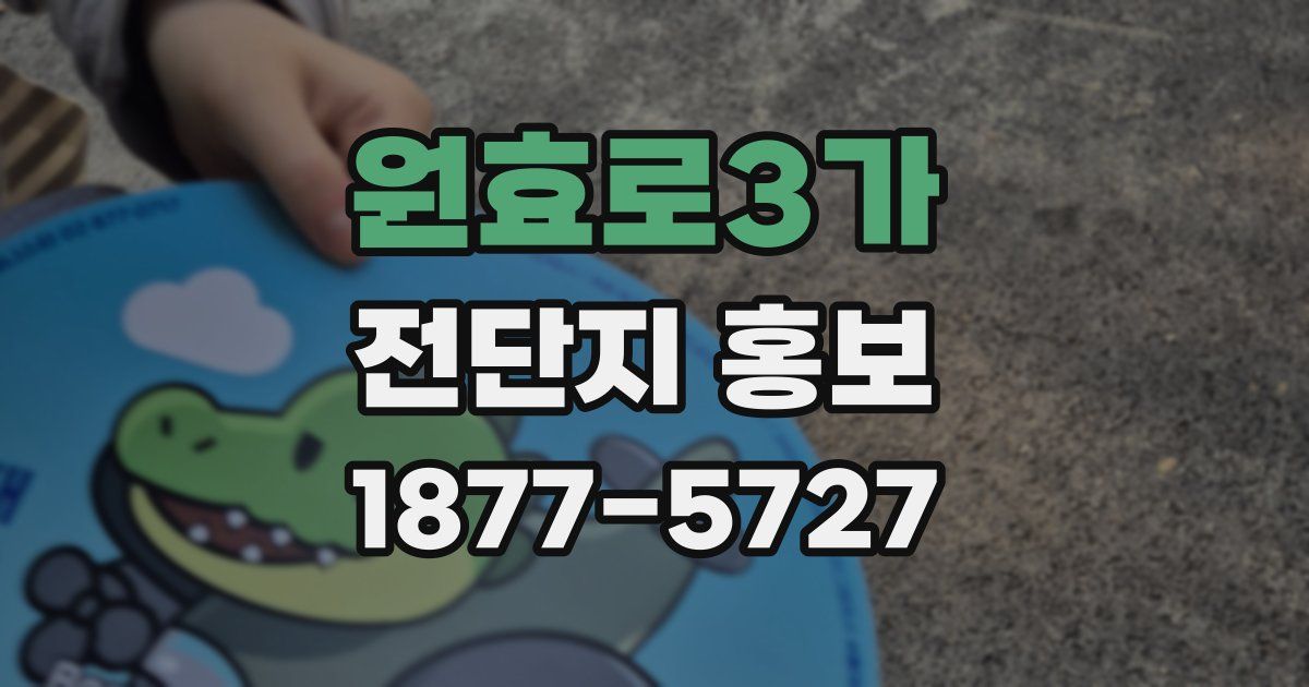 원효로3가 전단지 홍보