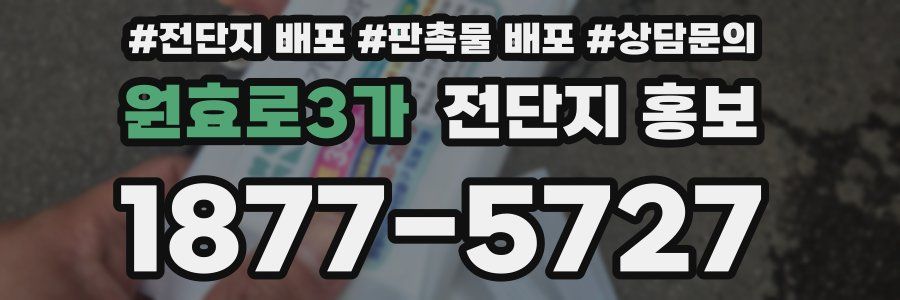 원효로3가 전단지 홍보