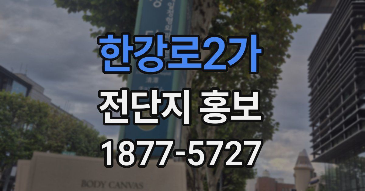 한강로2가 전단지 홍보