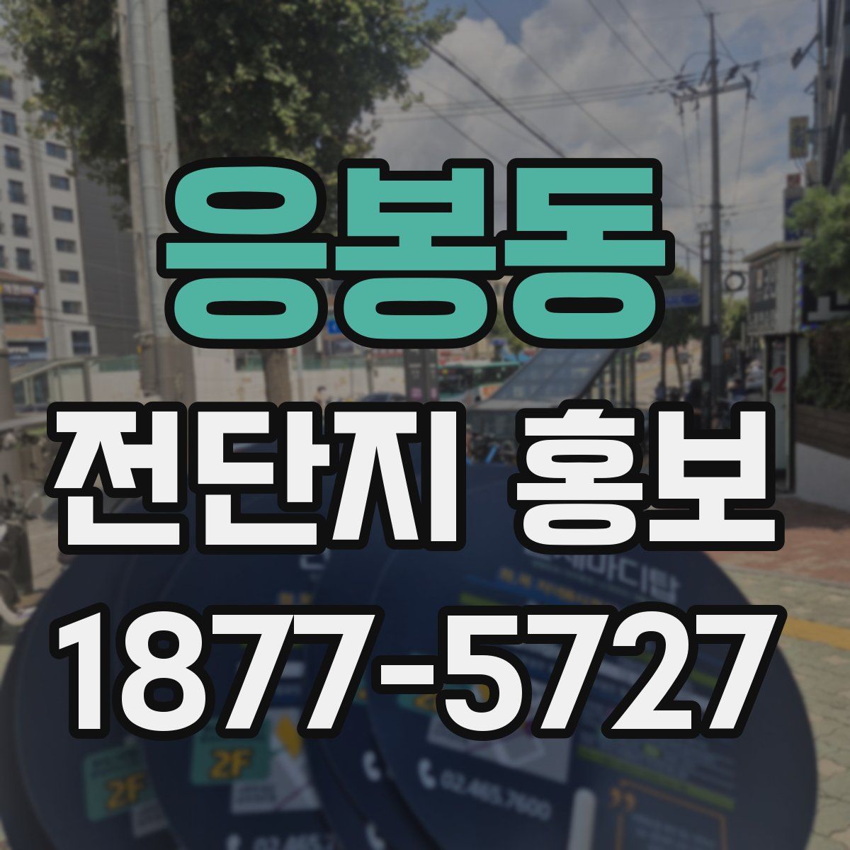 응봉동 전단지 홍보