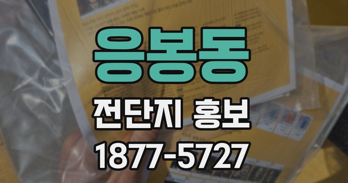 응봉동 전단지 홍보