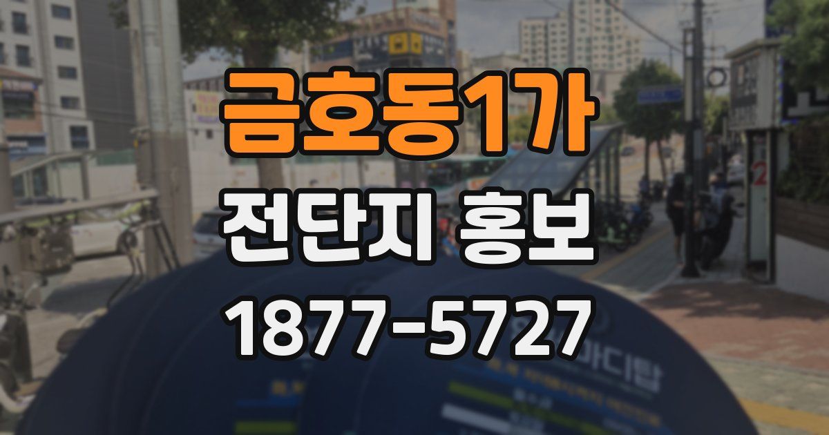 금호동1가 전단지 홍보