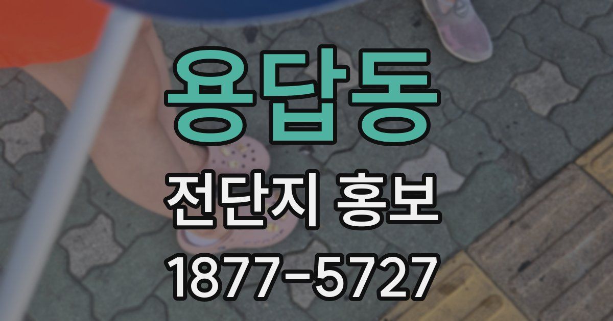 용답동 전단지 홍보