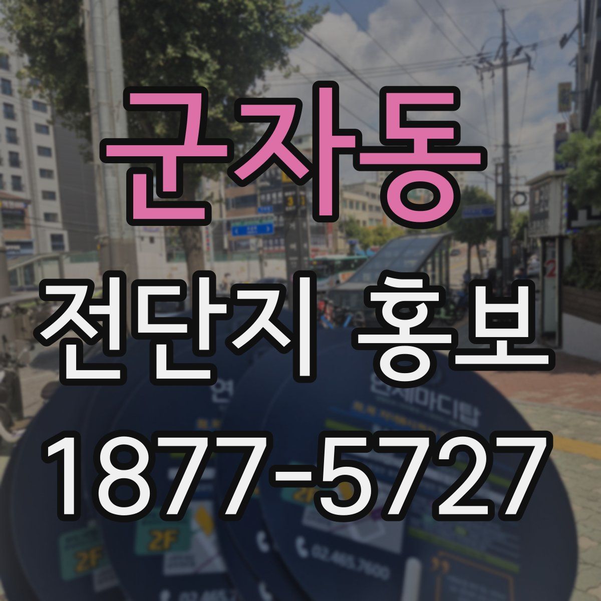 군자동 전단지 홍보