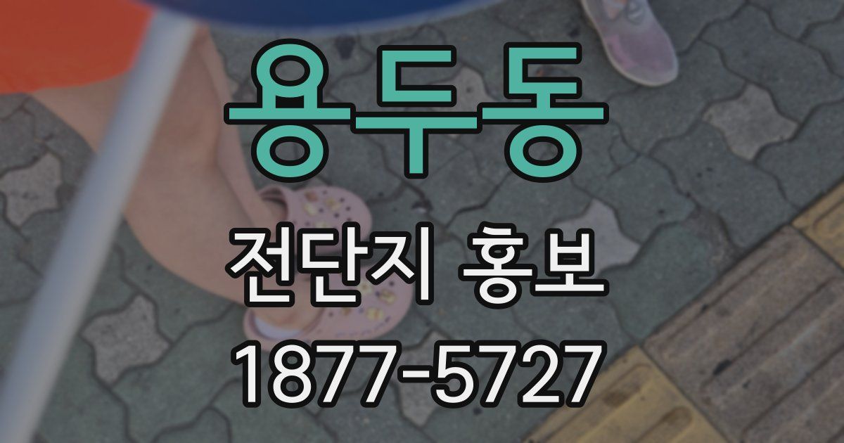 용두동 전단지 홍보