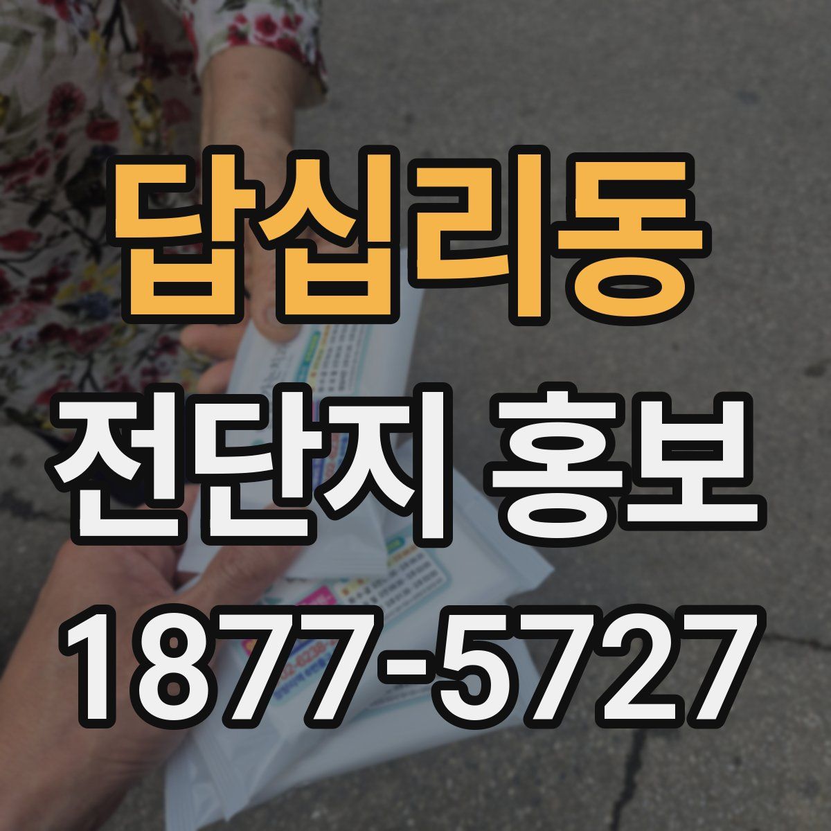 답십리동 전단지 홍보
