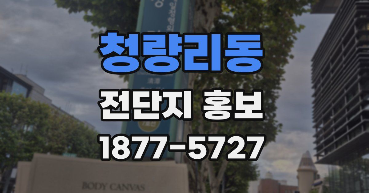 청량리동 전단지 홍보