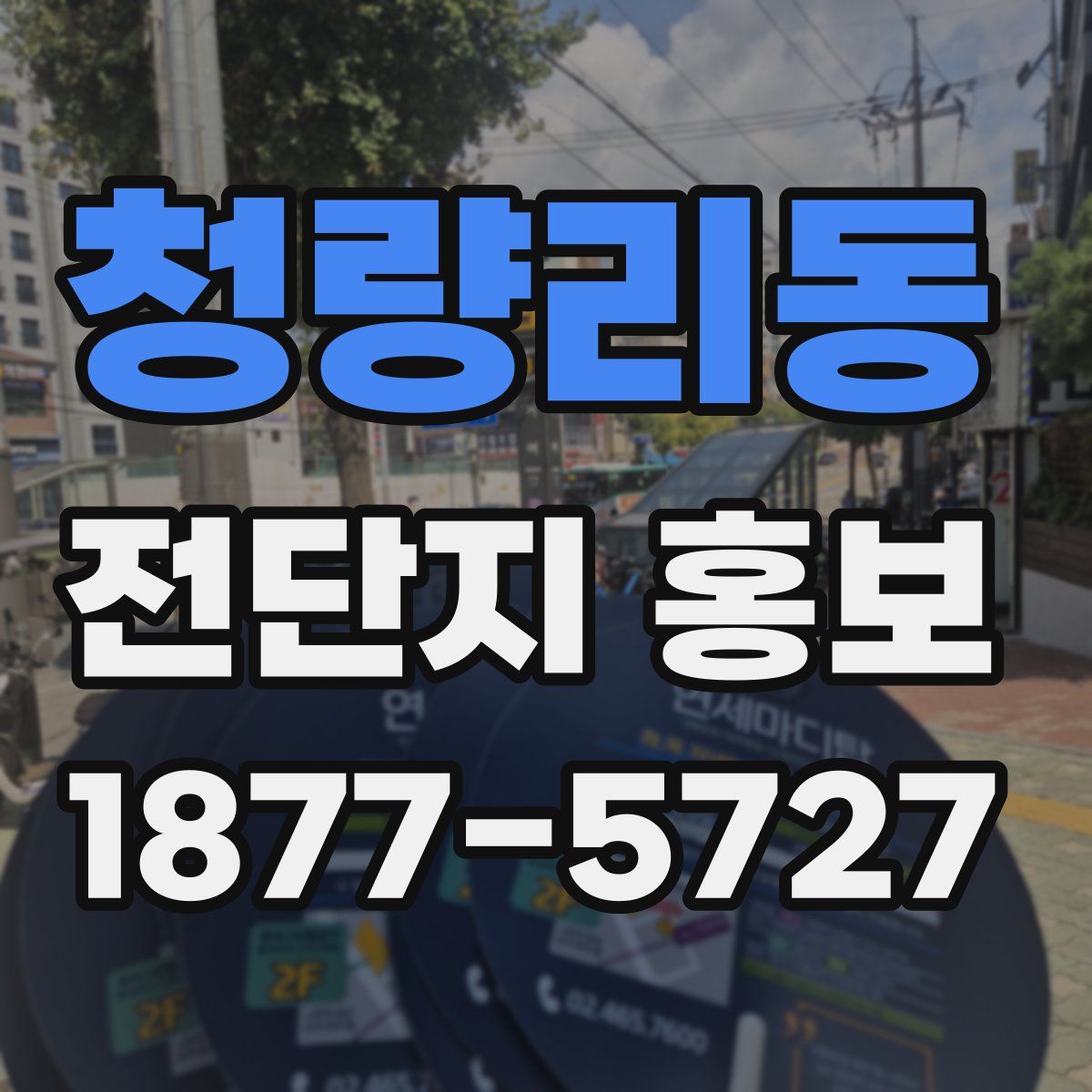 청량리동 전단지 홍보