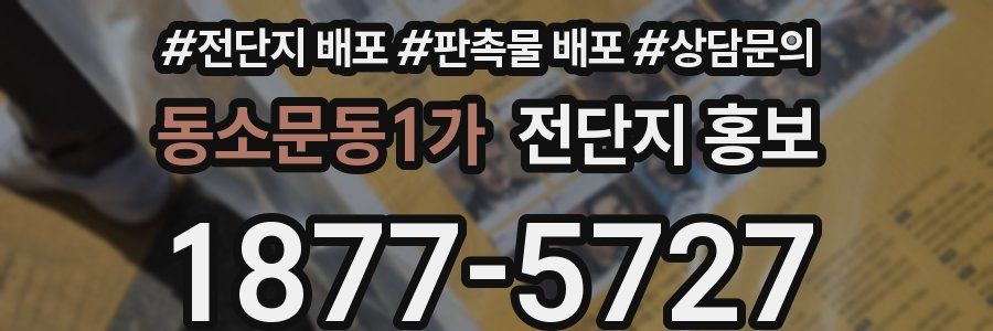 동소문동1가 전단지 홍보