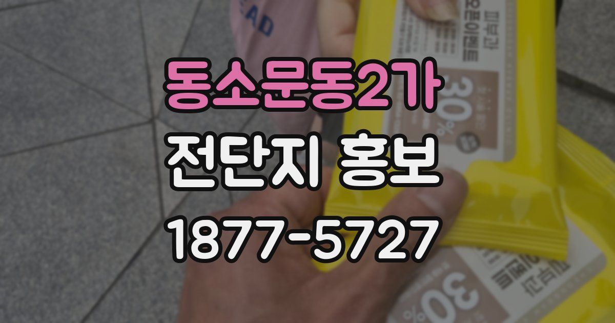 동소문동2가 전단지 홍보
