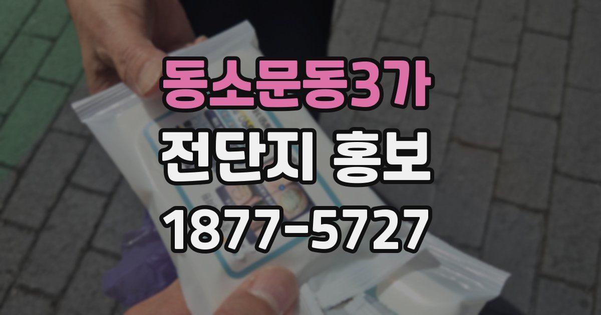동소문동3가 전단지 홍보