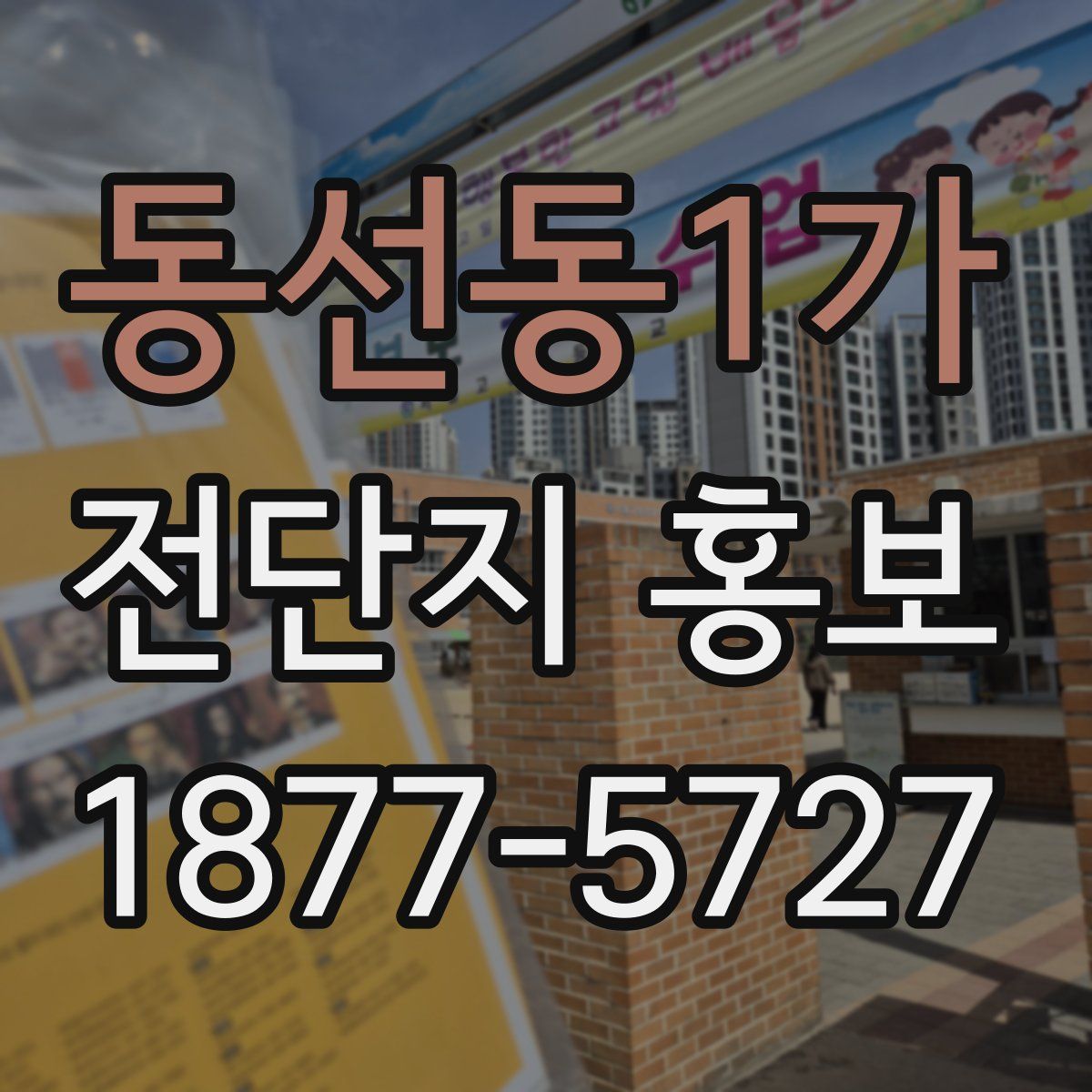 동선동1가 전단지 홍보