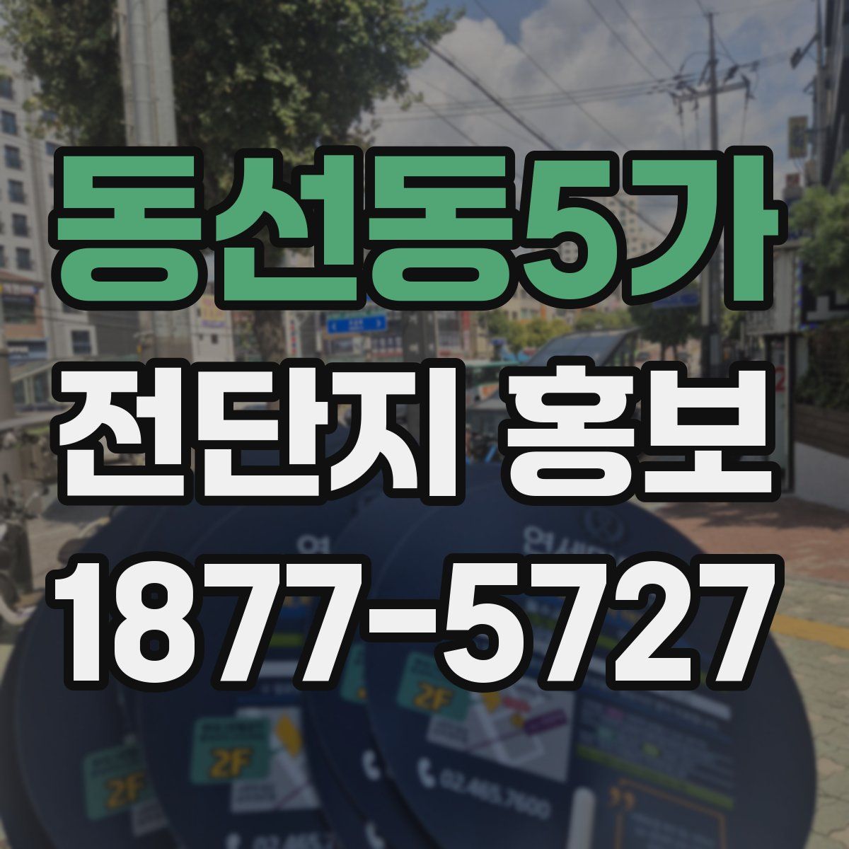 동선동5가 전단지 홍보