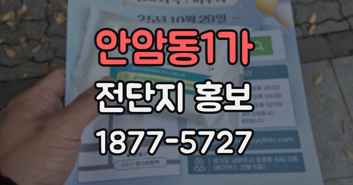안암동1가 전단지 홍보