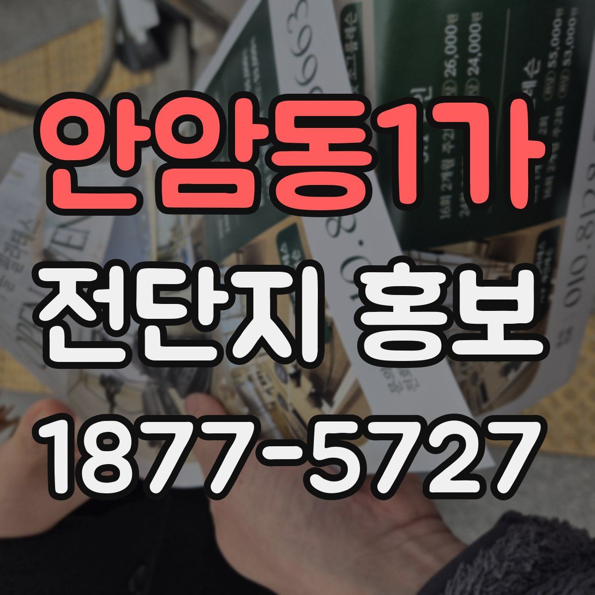 안암동1가 전단지 홍보