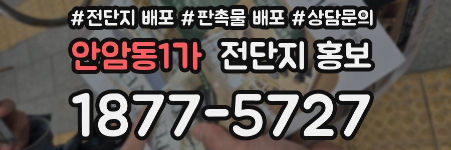안암동1가 전단지 홍보