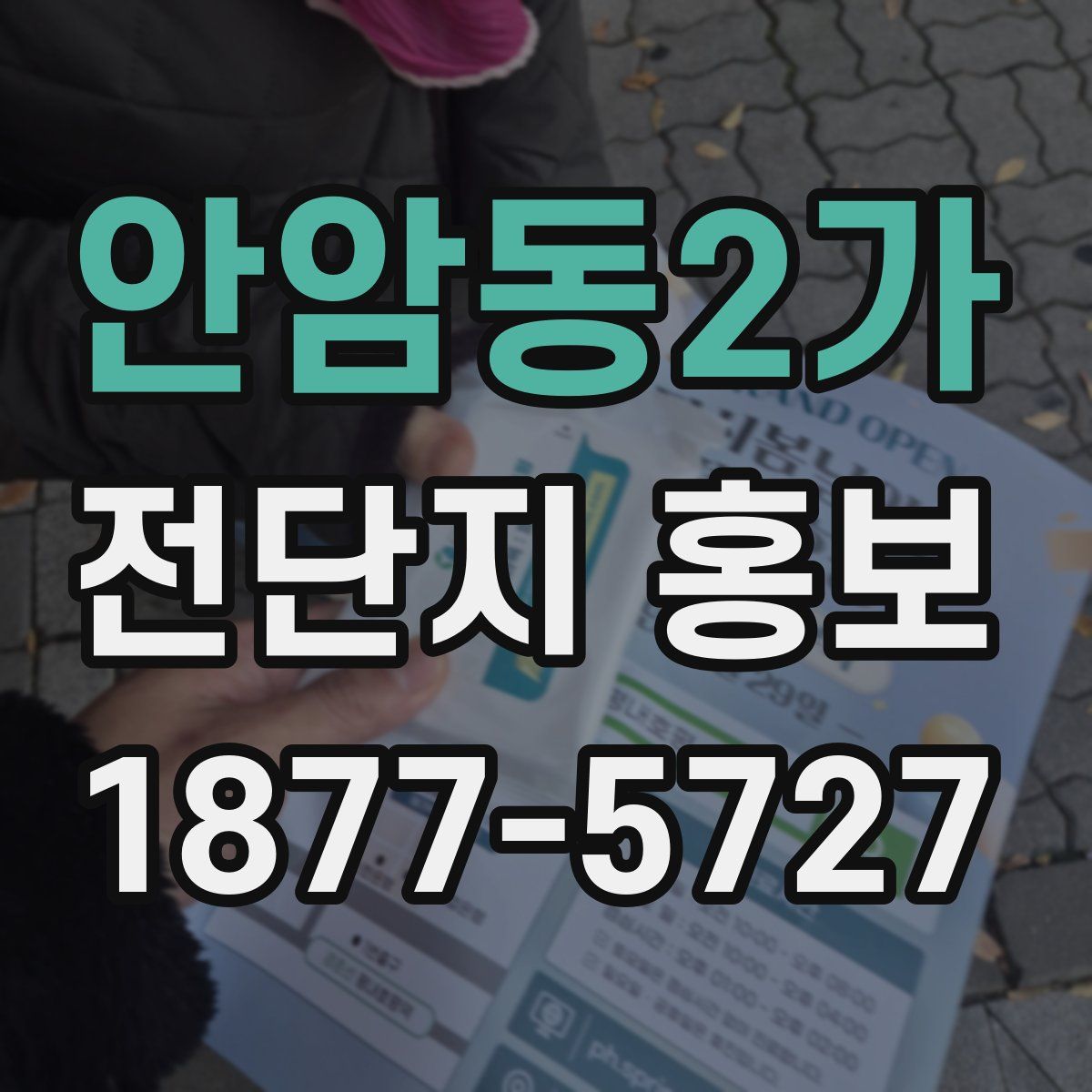 안암동2가 전단지 홍보