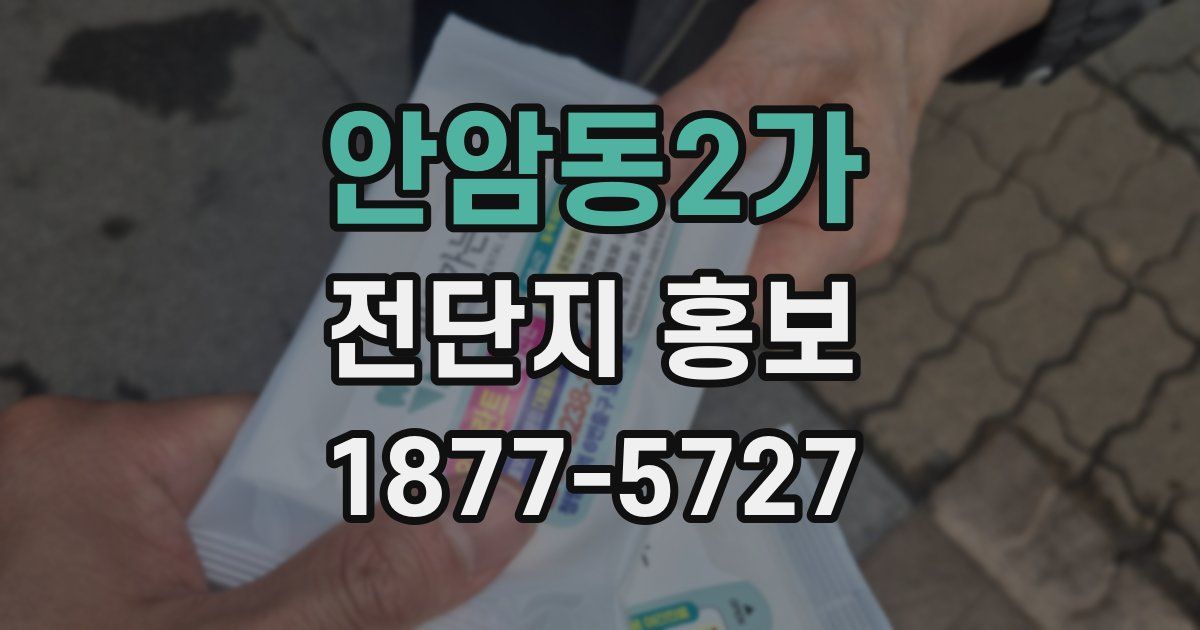 안암동2가 전단지 홍보