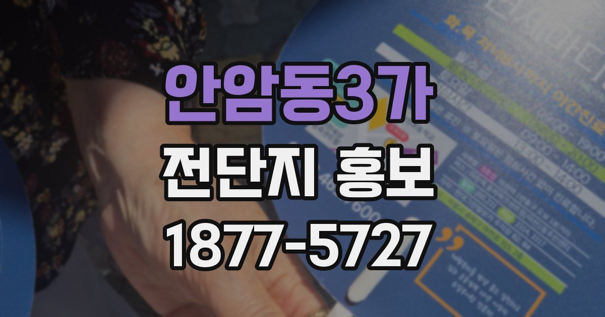 안암동3가 전단지 홍보