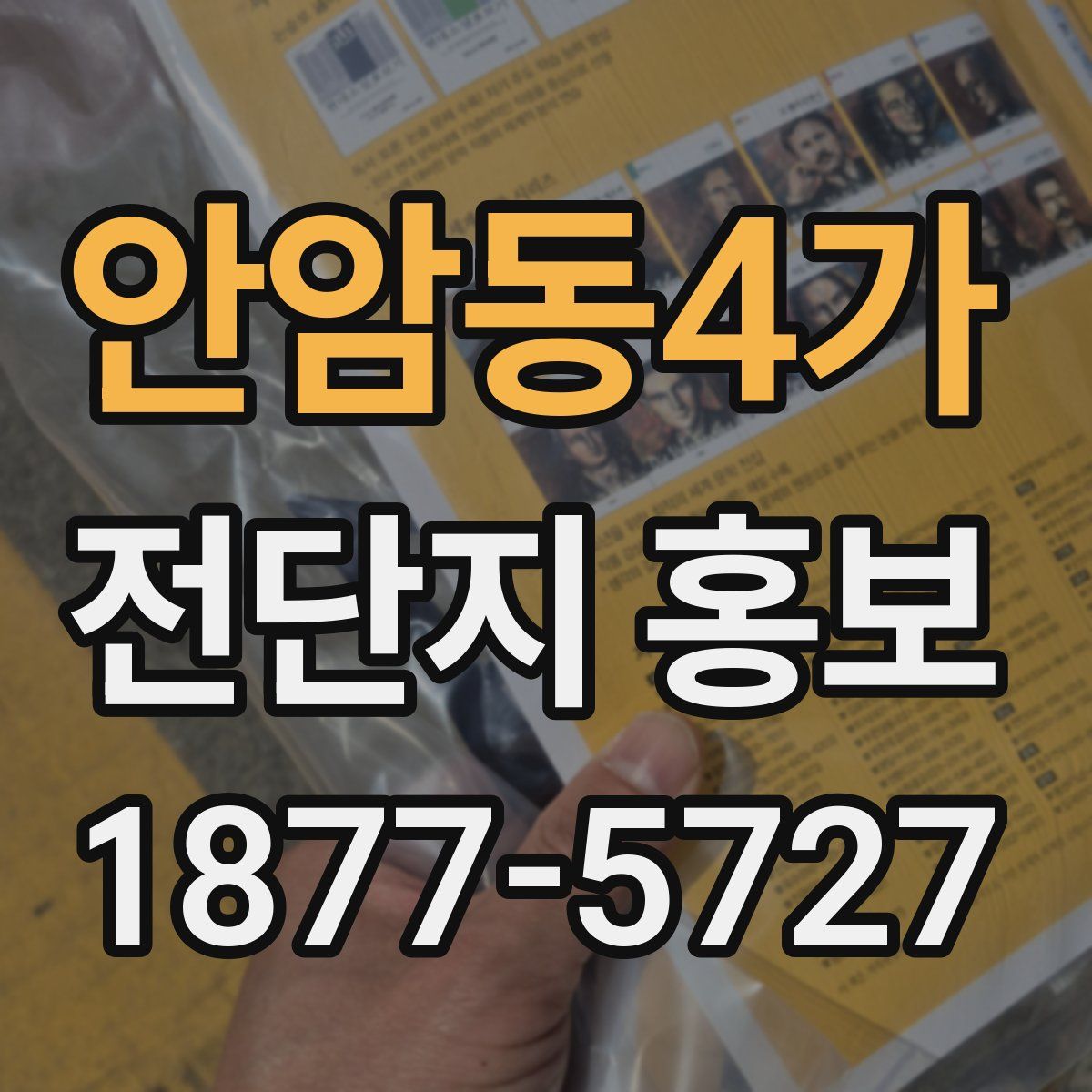안암동4가 전단지 홍보
