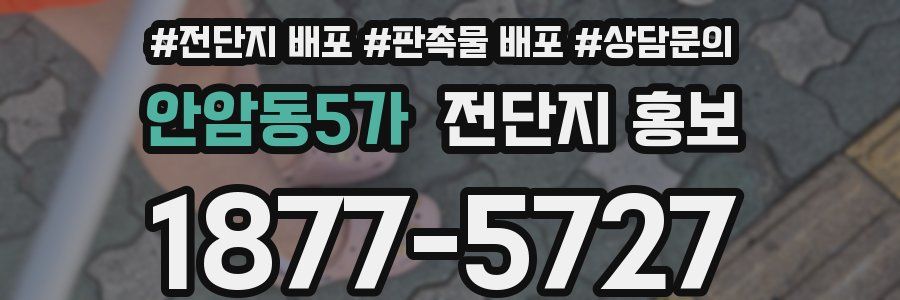 안암동5가 전단지 홍보