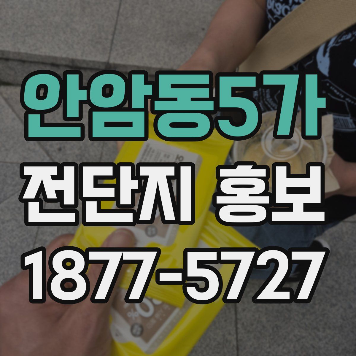 안암동5가 전단지 홍보