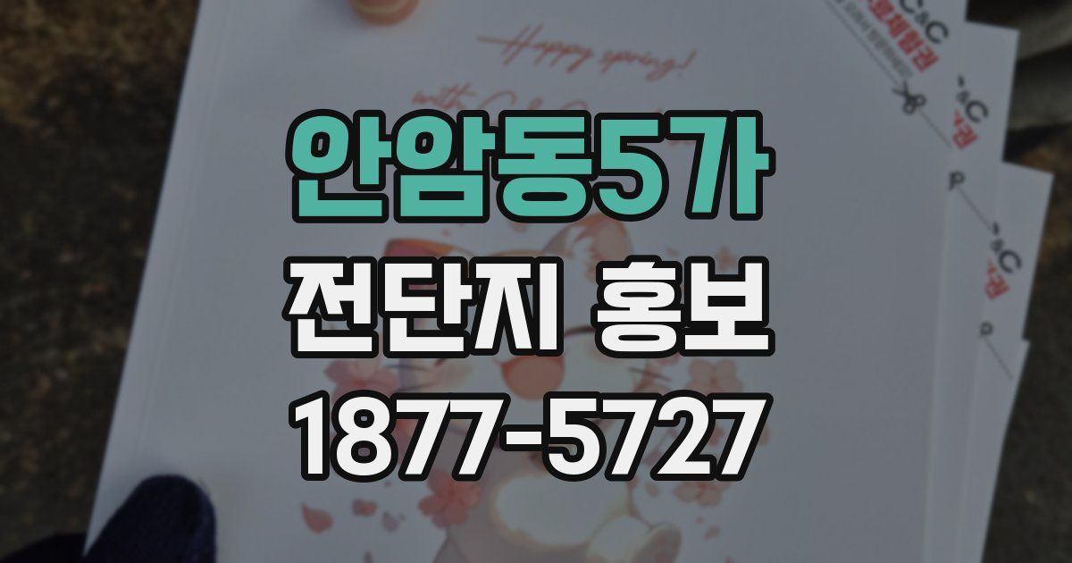 안암동5가 전단지 홍보